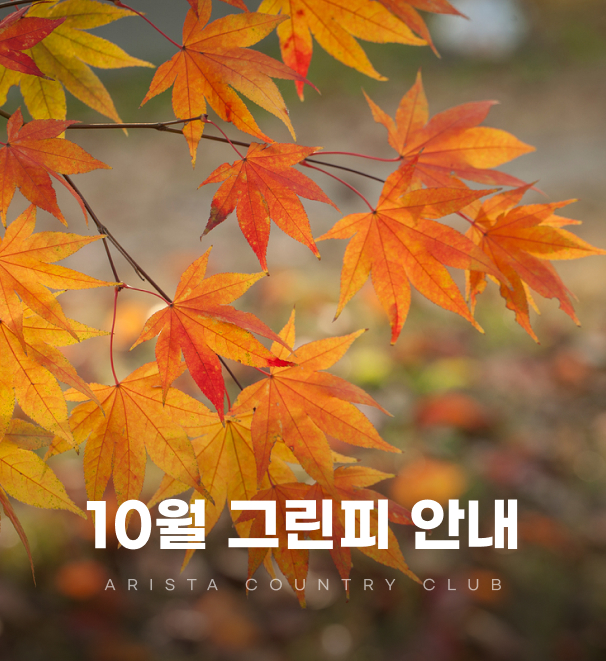 10월그린피