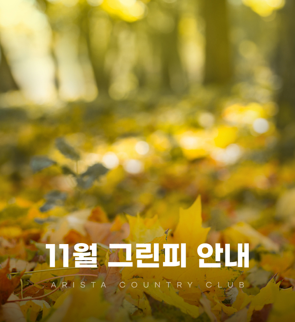 11월그린피