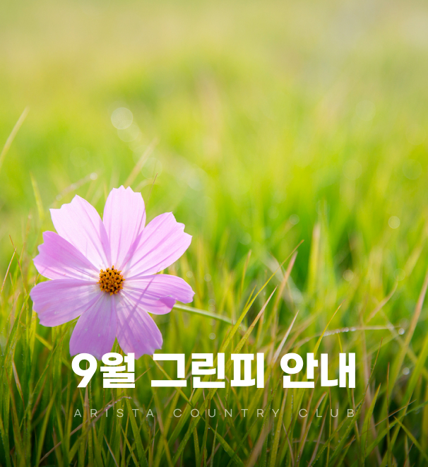 9월그린피